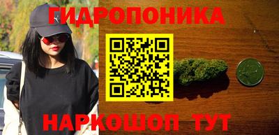 гашик Абакан