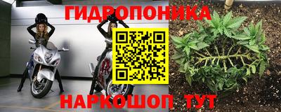 бошки Абинск