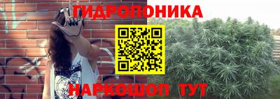 бошки Абинск