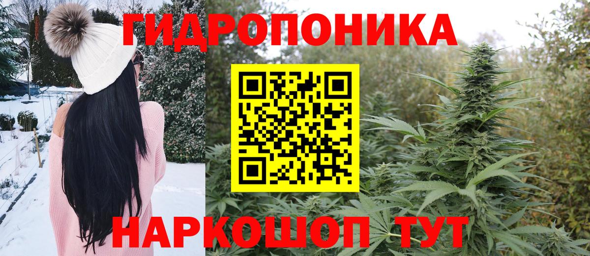 Каннабис индика  Вход с VPN  Канабис White Widow  Каннабис план  Алексин 
